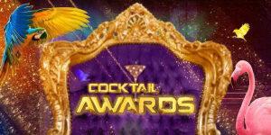 Inspirerende rolmodellen worden geëerd met eerste Cocktail Awards